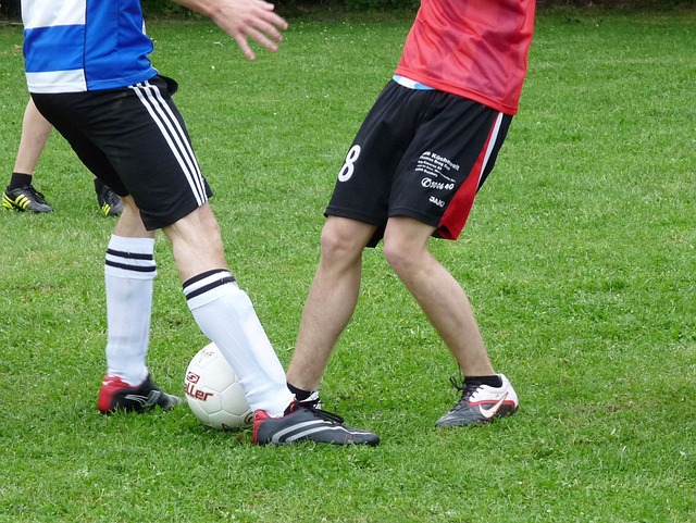 来的旅游 来的旅游