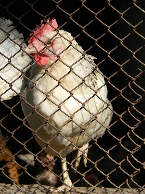 腿抽筋问题 腿抽筋问题