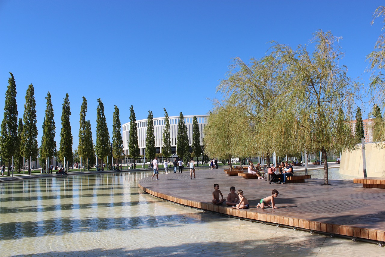 战总决赛的 战总决赛的