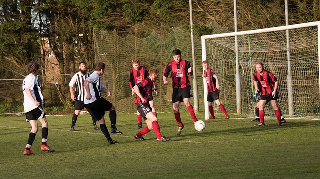 的重要资产 的重要资产