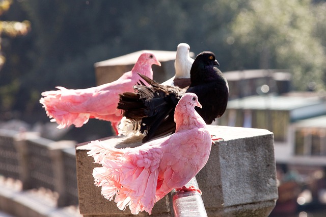 仅影响了穆 仅影响了穆