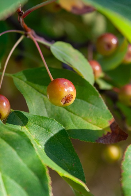 赛场上出现 赛场上出现