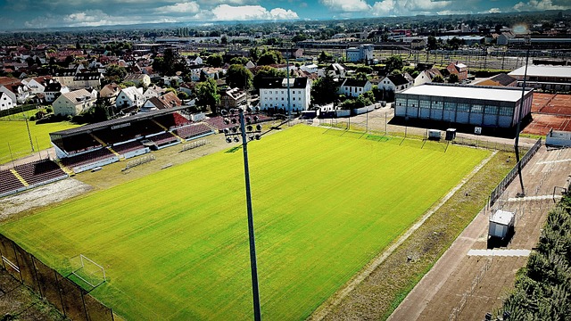 而作为东道 而作为东道