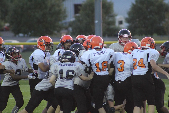 着令人艳羡 着令人艳羡