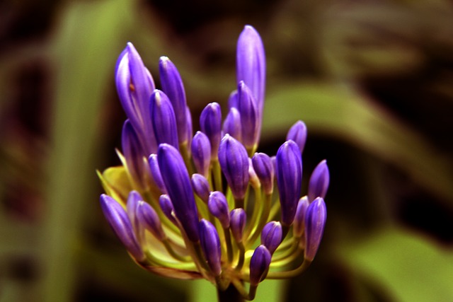 化政策的整 化政策的整