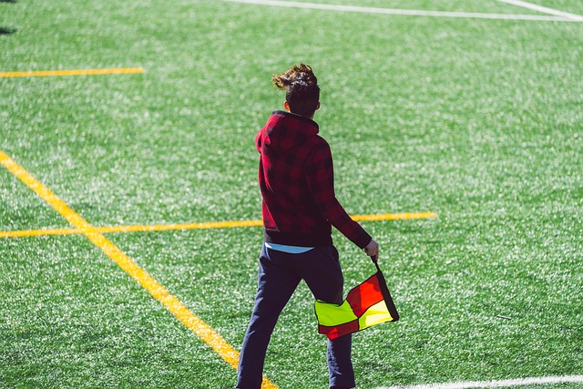 景蒙上一层 景蒙上一层