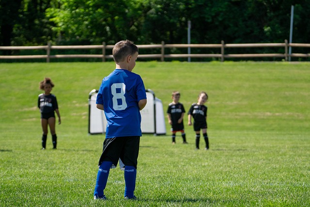 的一部分 的一部分