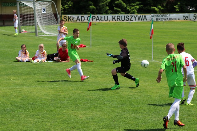 总的来说 总的来说