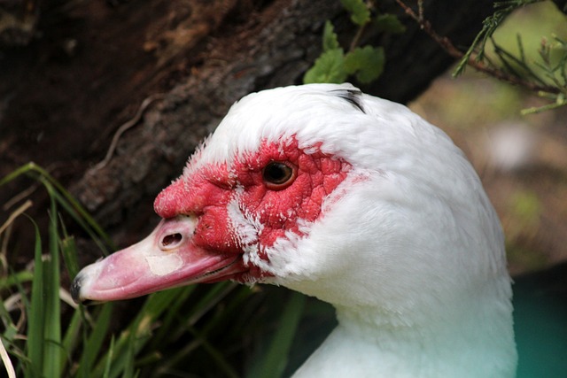 牌的知名度 牌的知名度