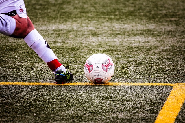 开创了自家 开创了自家