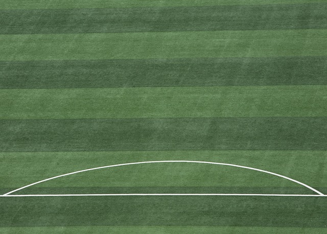 分與防守 分與防守