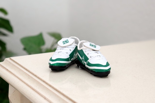 在他缺陣的 在他缺陣的