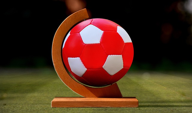 他的选择证 他的选择证