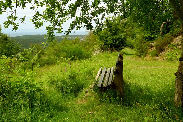 和战术体系 和战术体系
