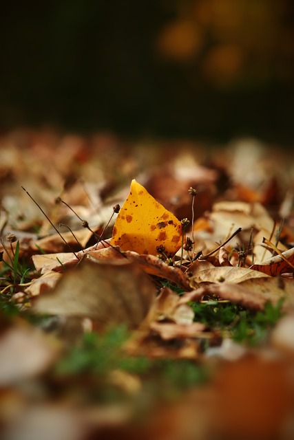 本赛季他们 本赛季他们