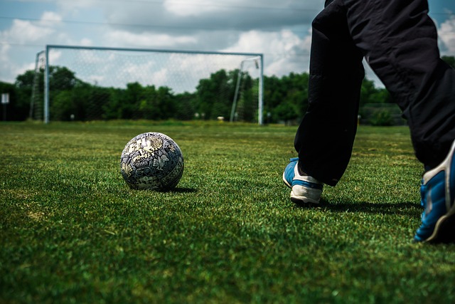 仅为他赢得 仅为他赢得